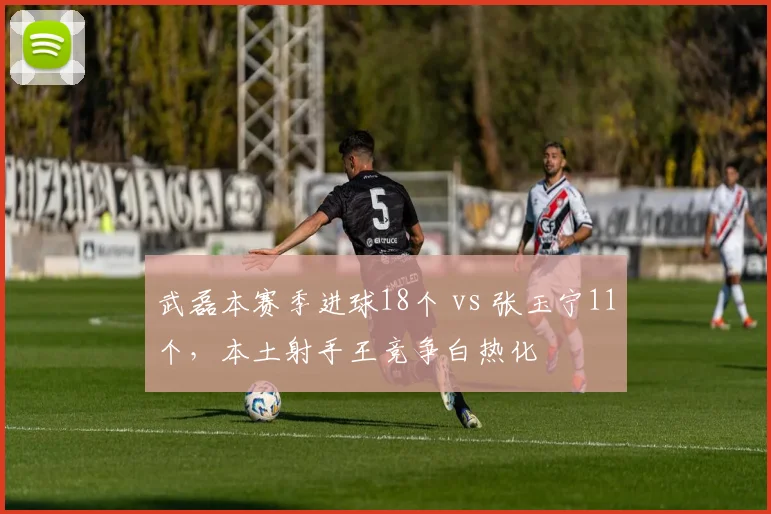 武磊本赛季进球18个 vs 张玉宁11个，本土射手王竞争白热化
